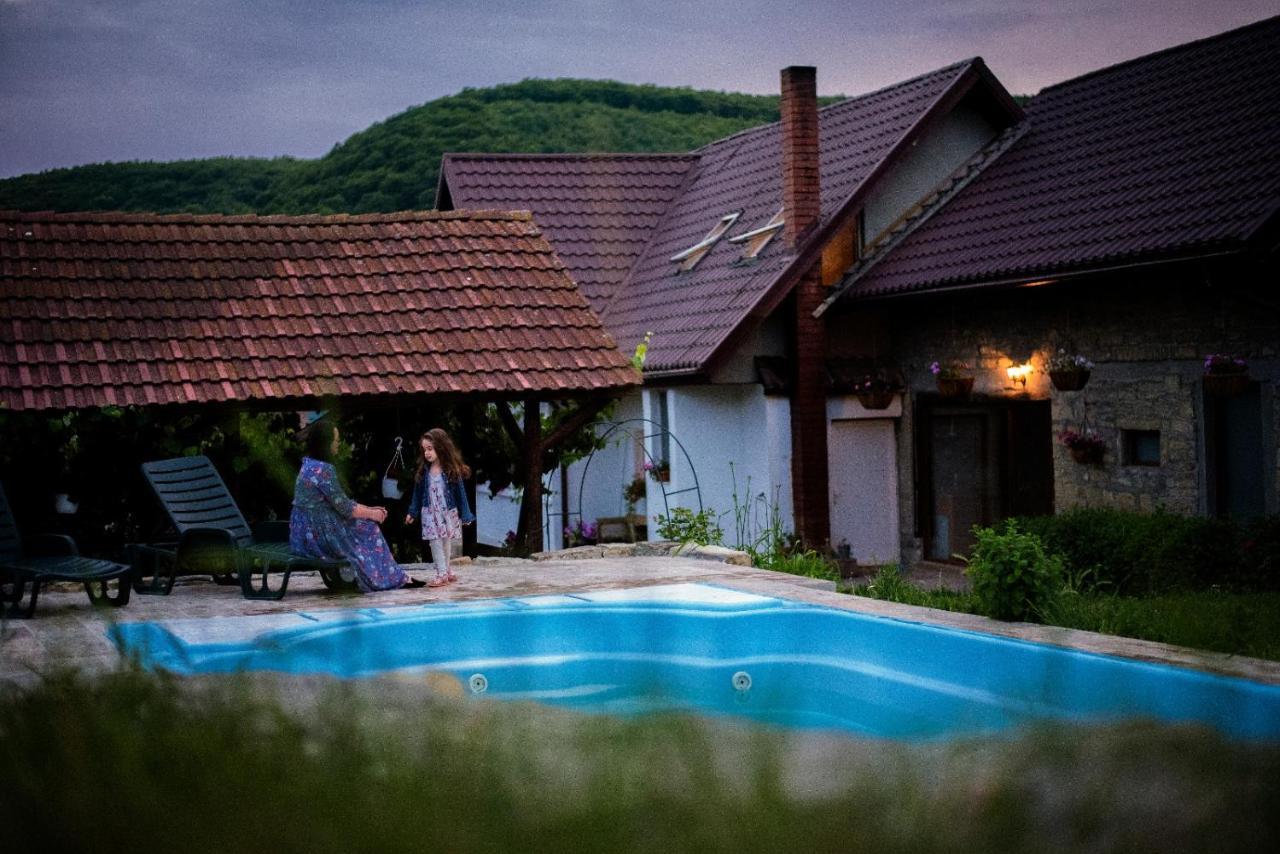 Agropensiunea Rafila Piglisa Exteriér fotografie